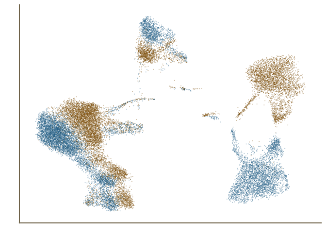 A UMAP of 24,250 real single cells from the public study GSE96583, coloured by the study's own unstimulated and stimulated culture arms.